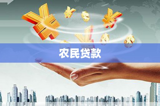 边坝农民贷款