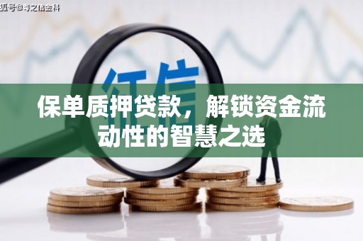 边坝保单质押贷款，解锁资金流动性的智慧之选