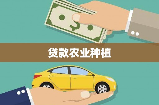 边坝贷款农业种植