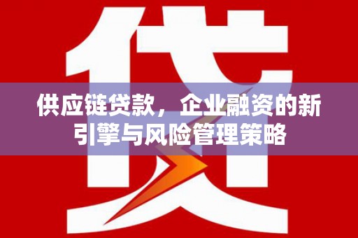 边坝供应链贷款，企业融资的新引擎与风险管理策略