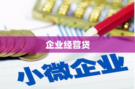 边坝企业经营贷