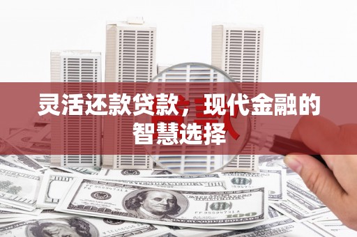 边坝灵活还款贷款，现代金融的智慧选择