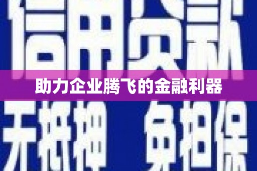 边坝助力企业腾飞的金融利器
