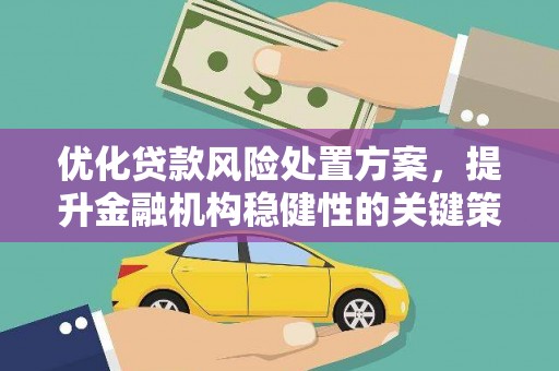 边坝优化贷款风险处置方案，提升金融机构稳健性的关键策略