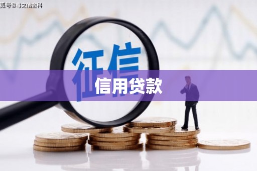 边坝信用贷款