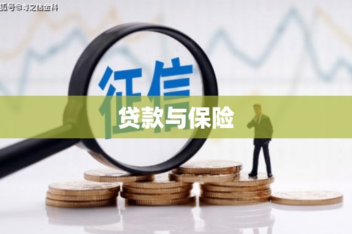 边坝贷款与保险