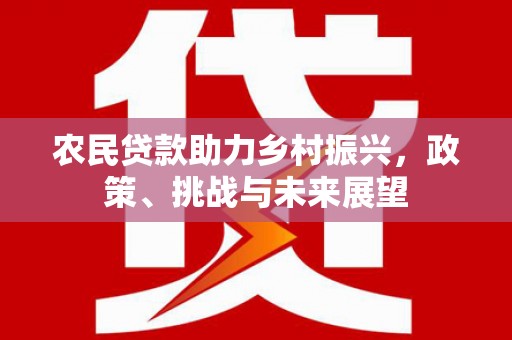 边坝农民贷款助力乡村振兴，政策、挑战与未来展望