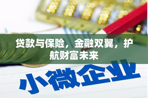 边坝贷款与保险，金融双翼，护航财富未来