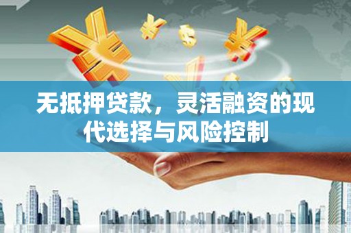 边坝无抵押贷款，灵活融资的现代选择与风险控制