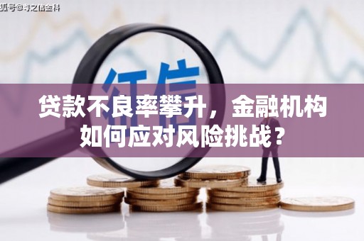 边坝贷款不良率攀升，金融机构如何应对风险挑战？