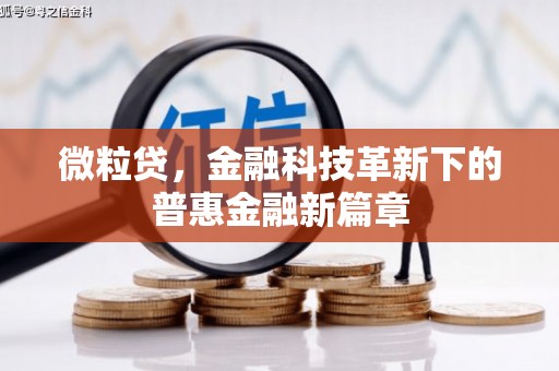 边坝微粒贷，金融科技革新下的普惠金融新篇章