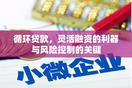 边坝循环贷款，灵活融资的利器与风险控制的关键