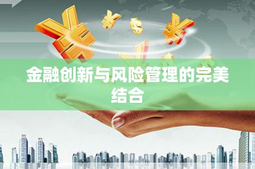 边坝金融创新与风险管理的完美结合