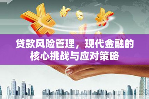 边坝贷款风险管理，现代金融的核心挑战与应对策略