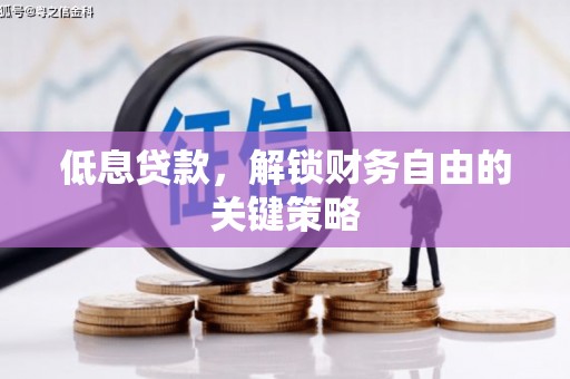 边坝低息贷款，解锁财务自由的关键策略