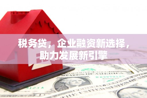 边坝税务贷，企业融资新选择，助力发展新引擎