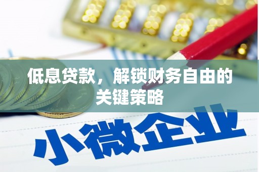 边坝低息贷款，解锁财务自由的关键策略