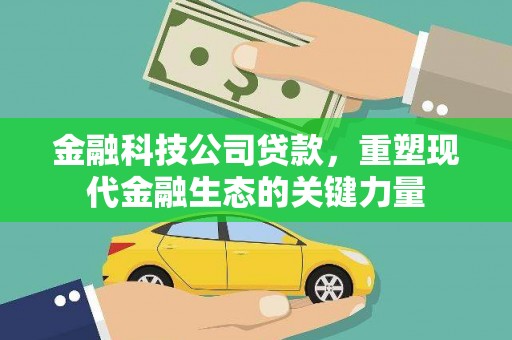 边坝金融科技公司贷款，重塑现代金融生态的关键力量
