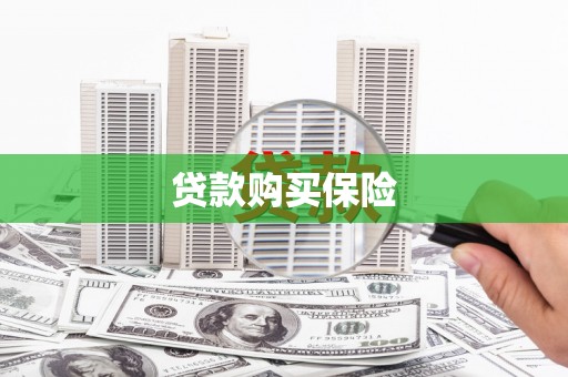 边坝贷款购买保险