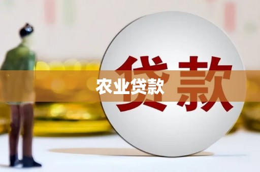 边坝农业贷款