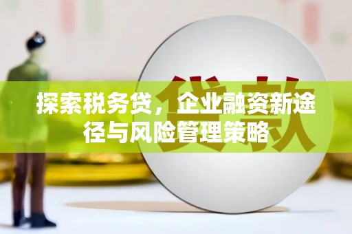 边坝探索税务贷，企业融资新途径与风险管理策略