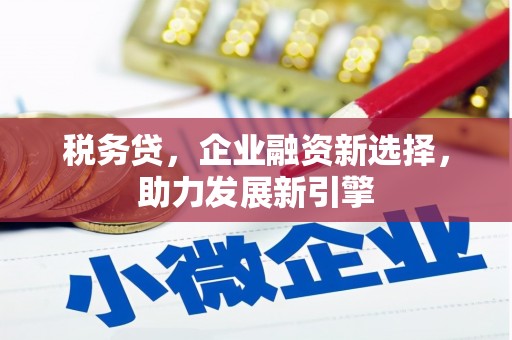 边坝税务贷，企业融资新选择，助力发展新引擎