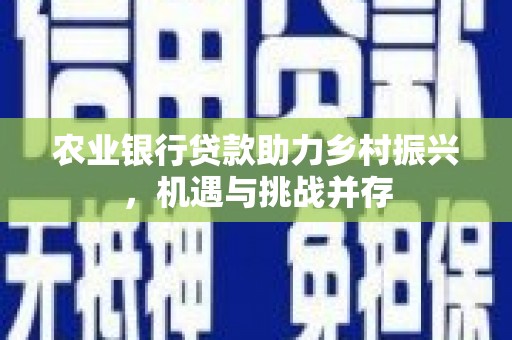 边坝农业银行贷款助力乡村振兴，机遇与挑战并存