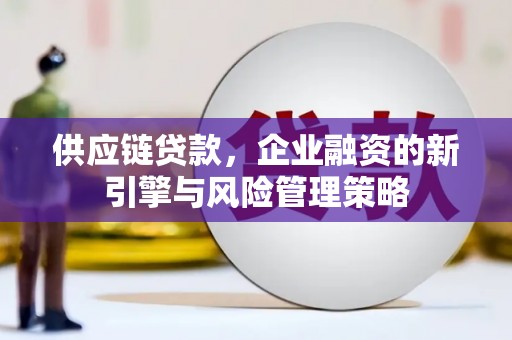 边坝供应链贷款，企业融资的新引擎与风险管理策略