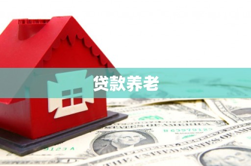 边坝贷款养老