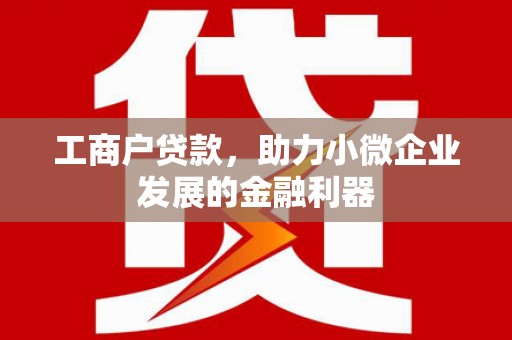 边坝工商户贷款，助力小微企业发展的金融利器