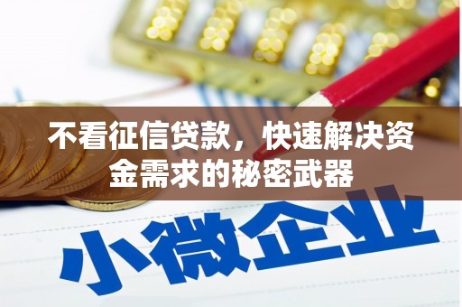 边坝不看征信贷款，快速解决资金需求的秘密武器