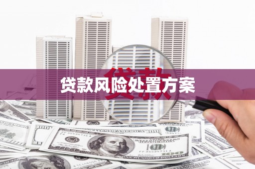 边坝贷款风险处置方案