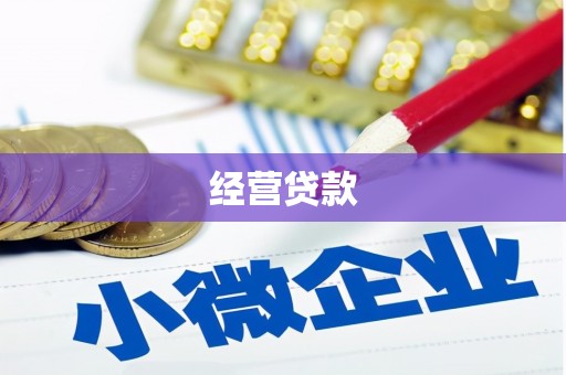 边坝经营贷款