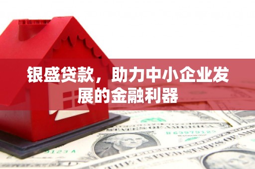 边坝银盛贷款，助力中小企业发展的金融利器