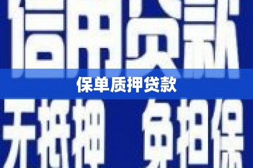 边坝保单质押贷款