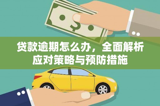 边坝贷款逾期怎么办，全面解析应对策略与预防措施