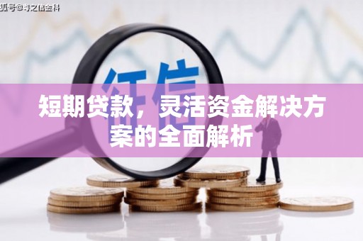 边坝短期贷款，灵活资金解决方案的全面解析