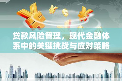 边坝贷款风险管理，现代金融体系中的关键挑战与应对策略