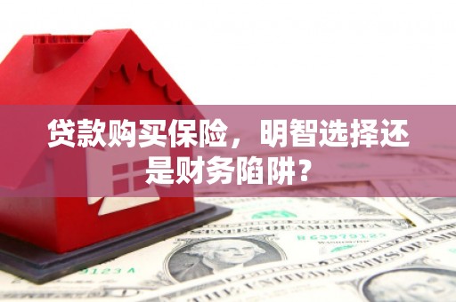 边坝贷款购买保险，明智选择还是财务陷阱？