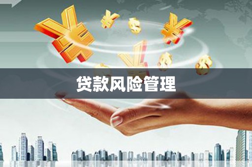 边坝贷款风险管理