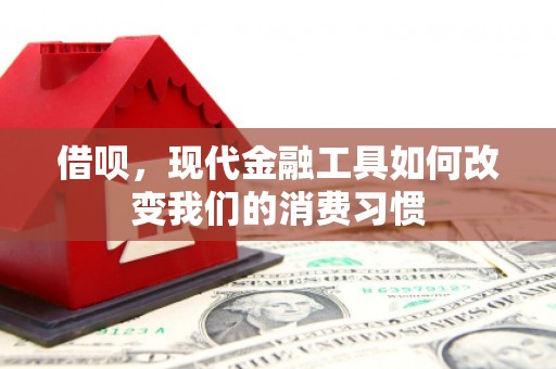 边坝借呗，现代金融工具如何改变我们的消费习惯