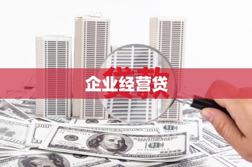 边坝企业经营贷