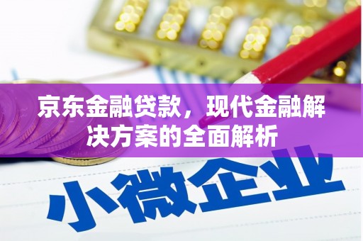 边坝京东金融贷款，现代金融解决方案的全面解析