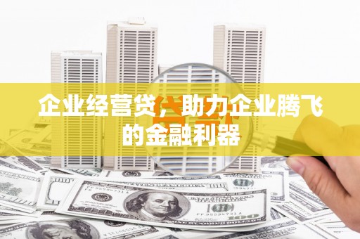 边坝企业经营贷，助力企业腾飞的金融利器
