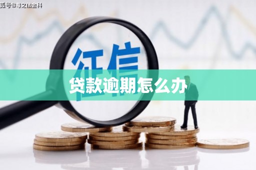 边坝贷款逾期怎么办