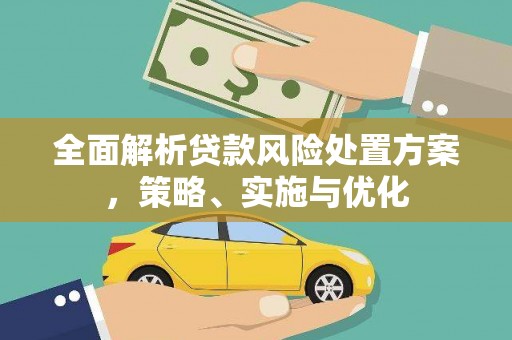 边坝全面解析贷款风险处置方案，策略、实施与优化