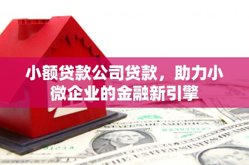 边坝小额贷款公司贷款，助力小微企业的金融新引擎