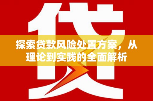 边坝探索贷款风险处置方案，从理论到实践的全面解析
