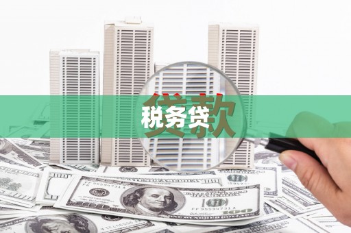 边坝税务贷