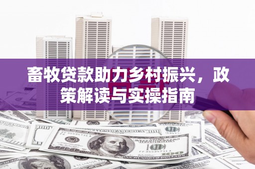 边坝畜牧贷款助力乡村振兴，政策解读与实操指南